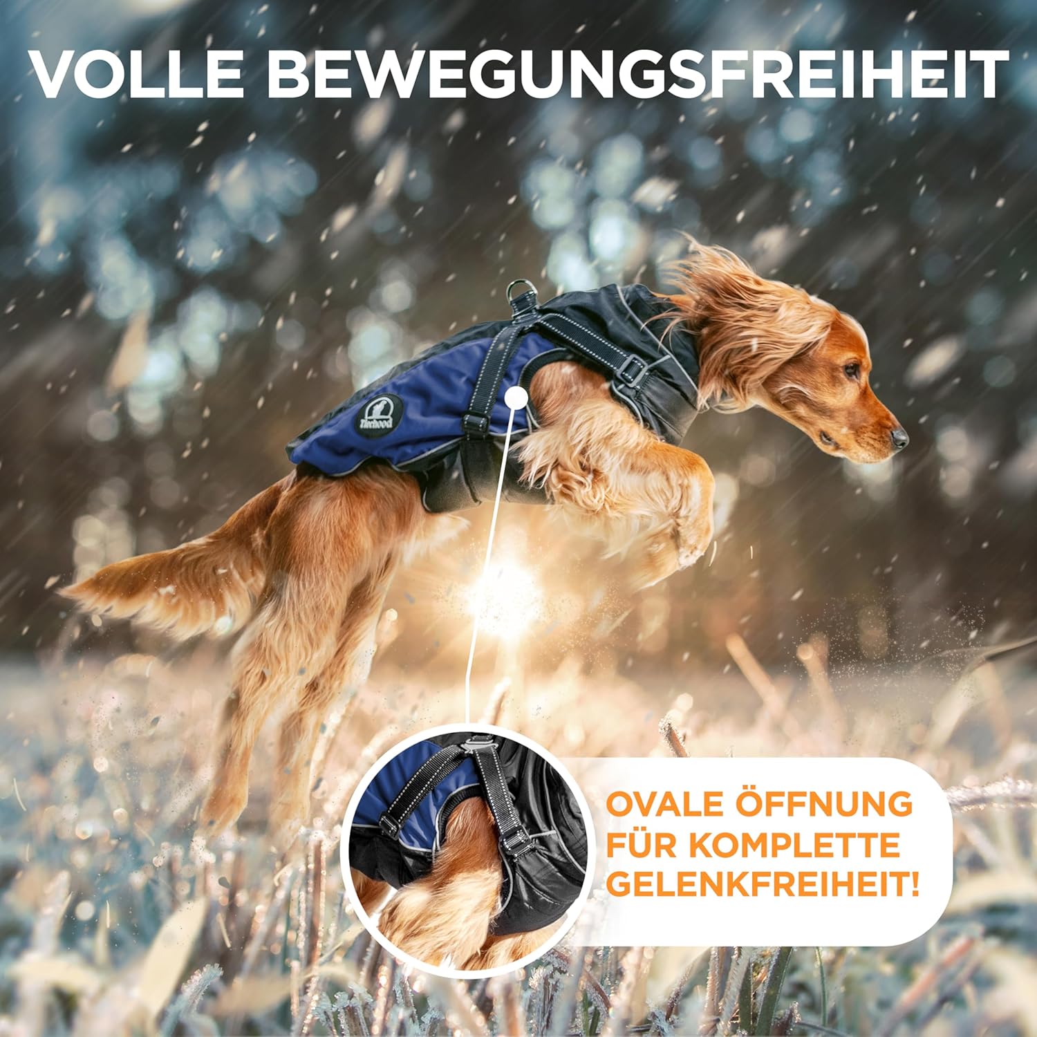 Chubasquero Impermeable Azul para Perros