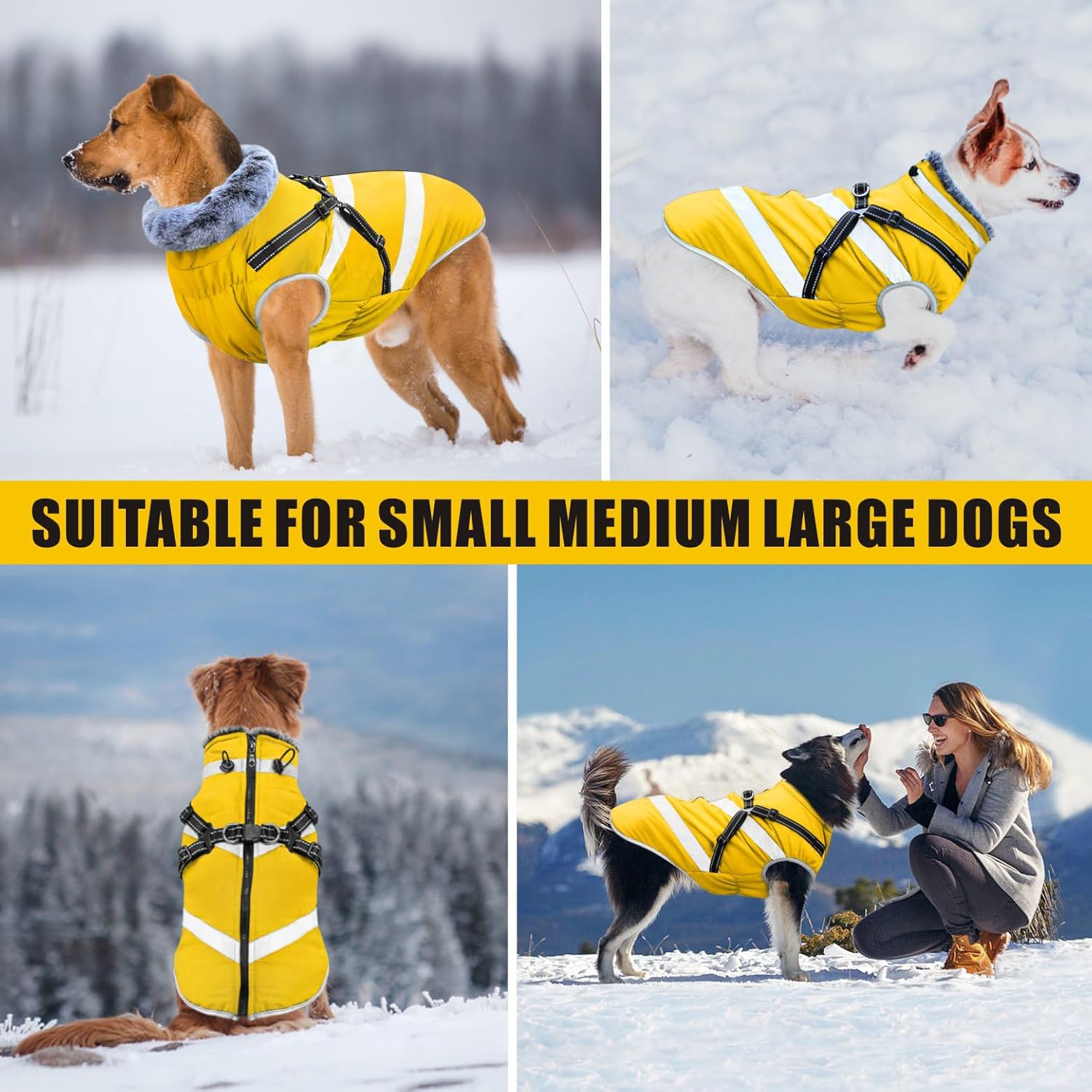 Abrigo impermeable para perros