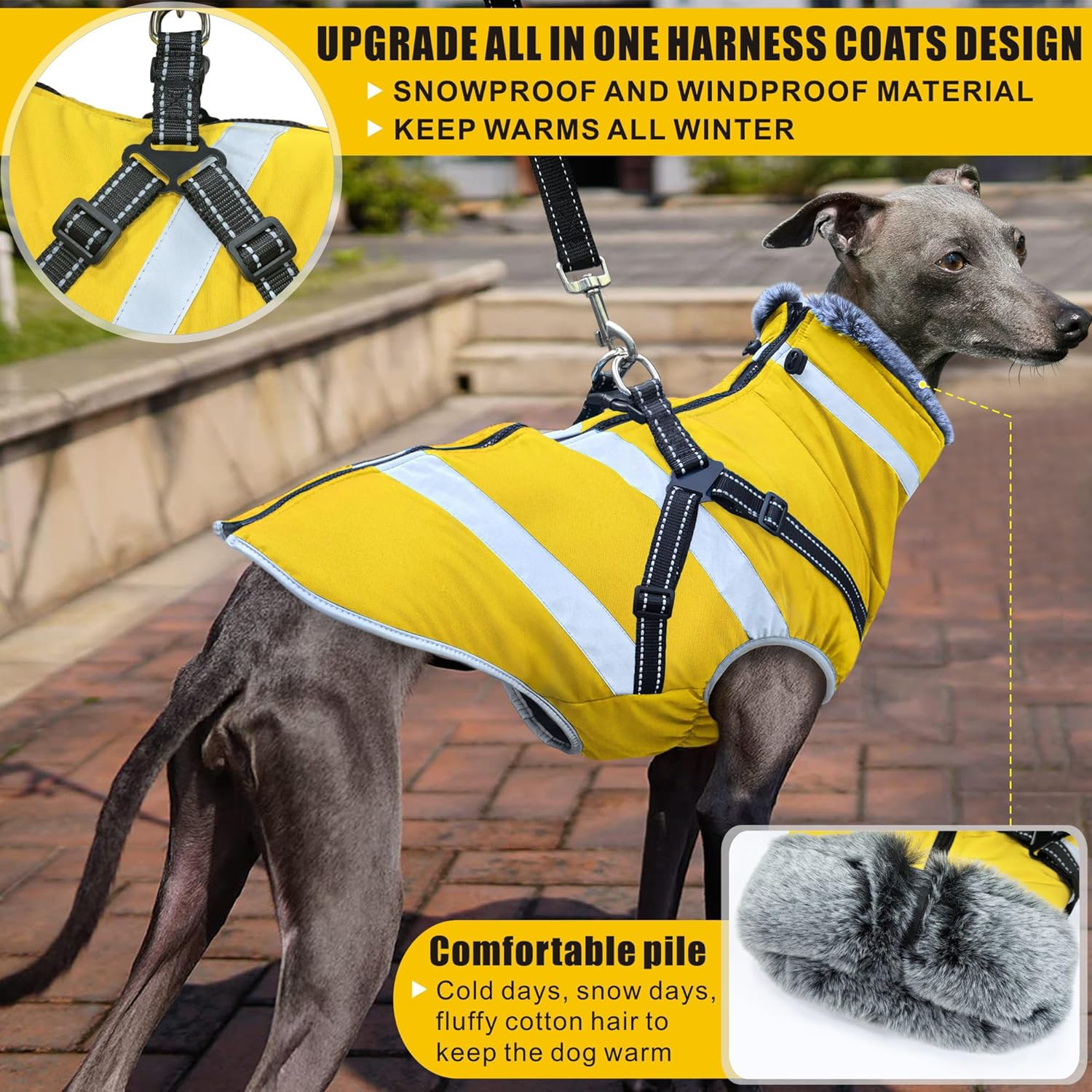 Abrigo impermeable para perros