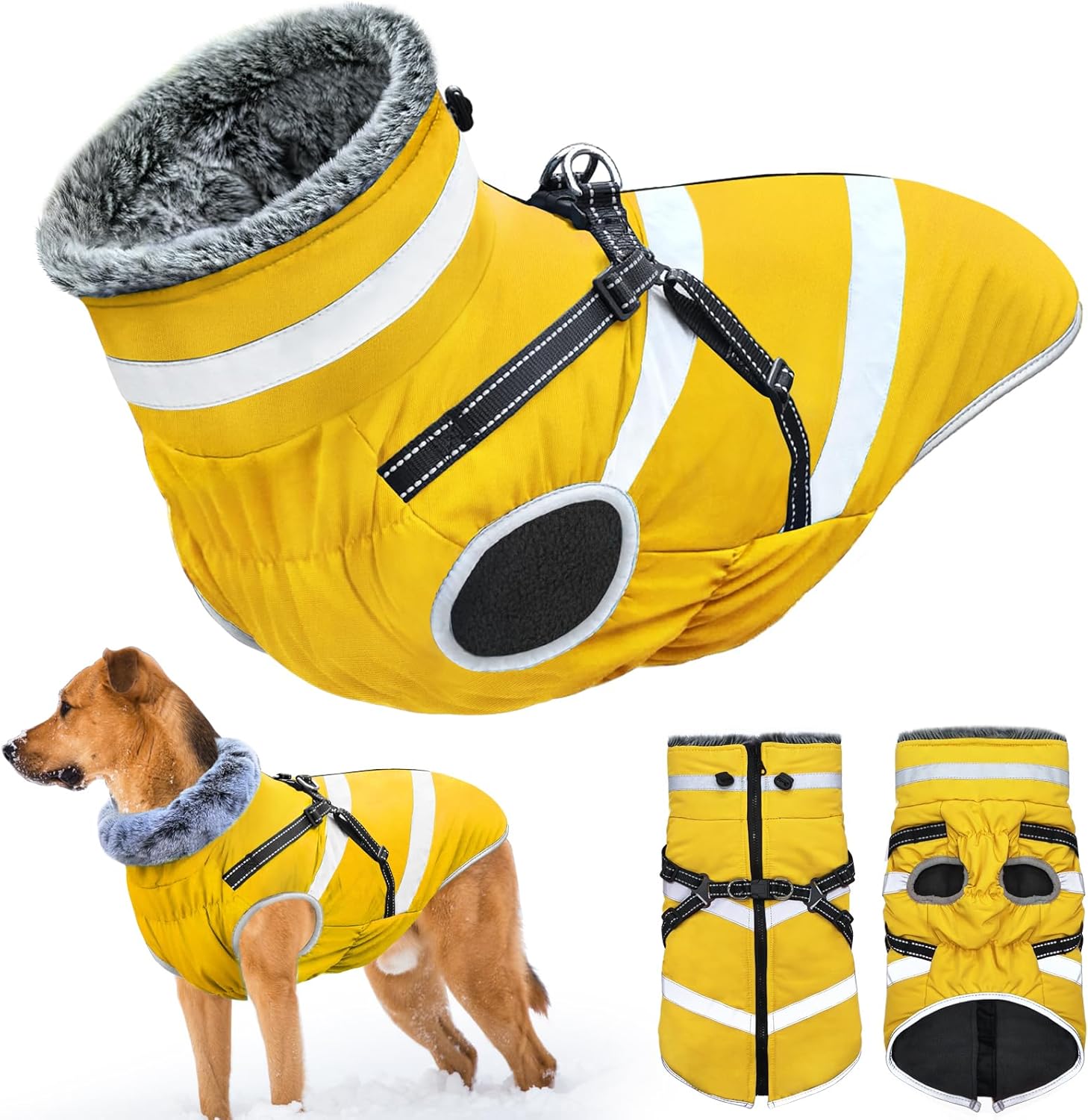 Abrigo impermeable para perros