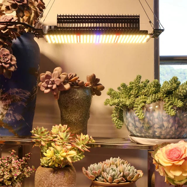 Lámpara Luz LED Crecimiento Plantas 300w