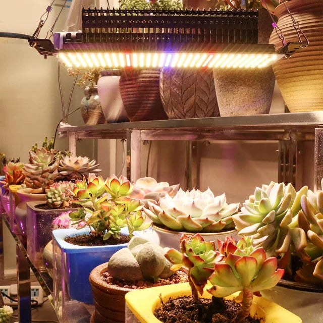 Lámpara Luz LED Crecimiento Plantas 300w